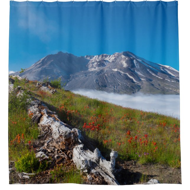 Spring on Mt. St. Helens Shower Curtain (Front)