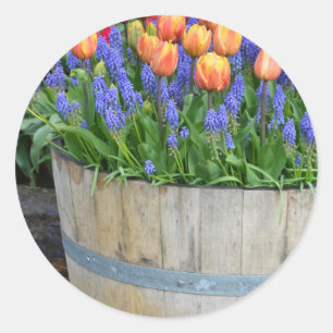 Spring orange tulip planter print classic round sticker