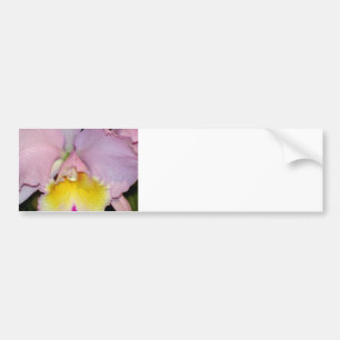 Spring Orchid Bumper Sticker