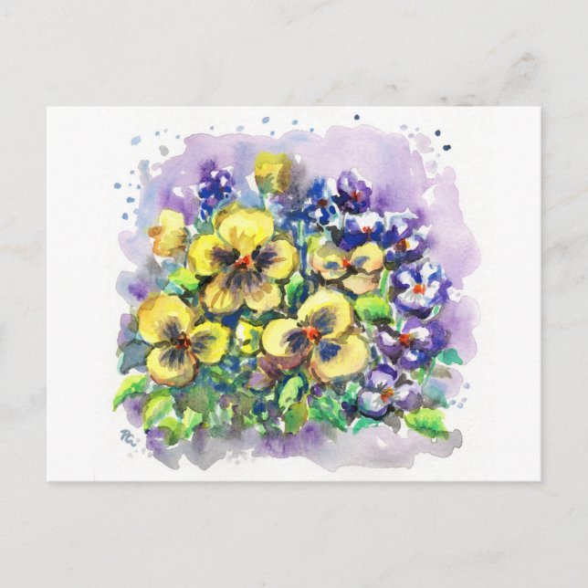 Spring Pansies Postcard (Front)