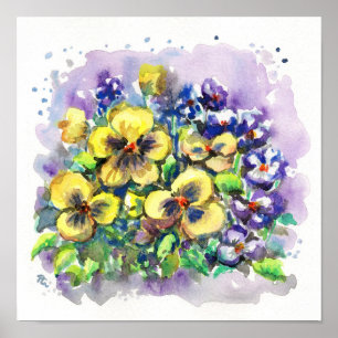 Spring Pansies Poster