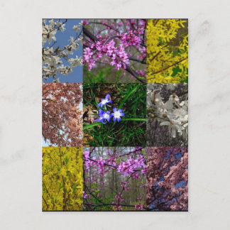 Spring Patchwork Postcard