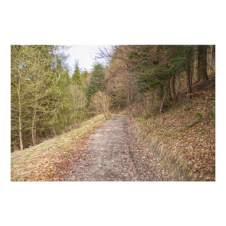 Spring path in the forrest photo print