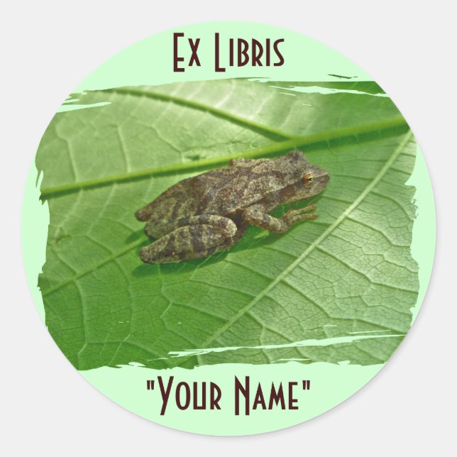 Spring Peeper (Pseudacris crucifer) Treefrog Items Classic Round Sticker (Front)