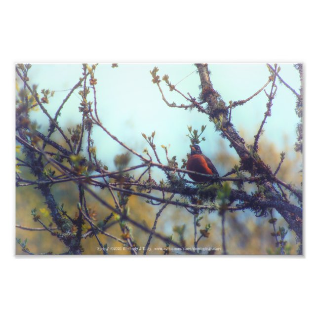 Spring Photo Print (Front)