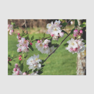 Spring Pink And White Blossoms Decoupage Tissue Paper