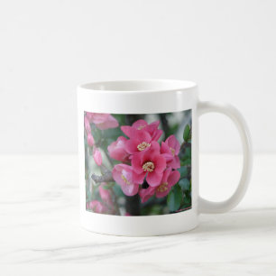 Spring Pink Blooming Flowering Quince Coffee Mug