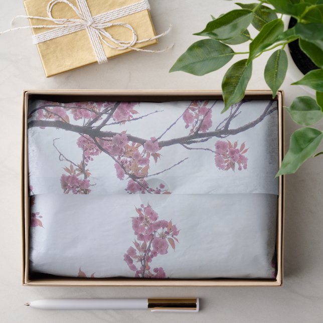 Spring Pink Cherry Blossoms Blue Sky Hanami        Tissue Paper (Gift)