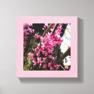 Spring Pink Flowers Canvas Print