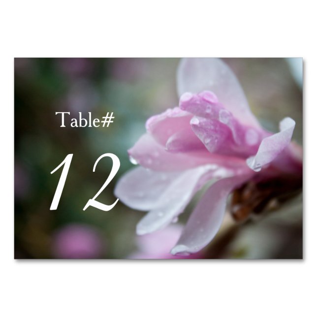spring pink magnolia flower dinner table number (Front)