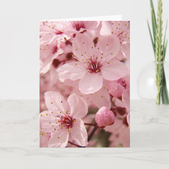 Spring Pink Tree Flower Blossoms Greeting Card (Front)