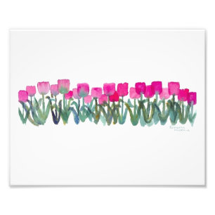 Spring Pink Tulips 8 x 10 Photographic Print