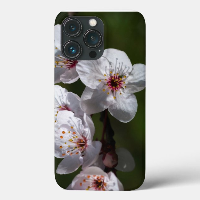 Spring plum blossoms for phones Case-Mate iPhone case (Back)