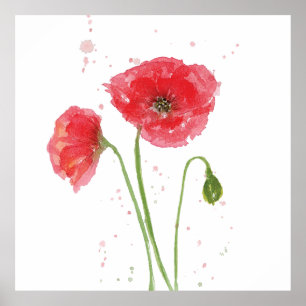Spring Poppies Poster