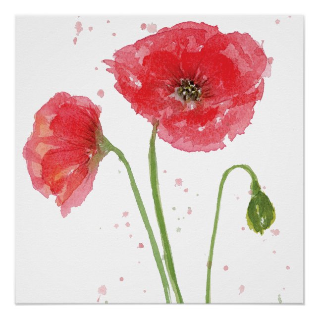 Spring Poppies Poster (Front)