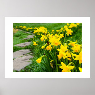 Spring poster