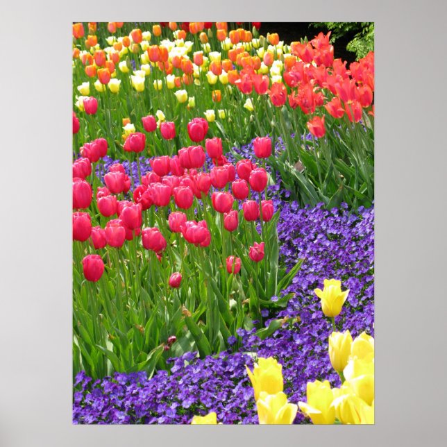 spring poster (Front)