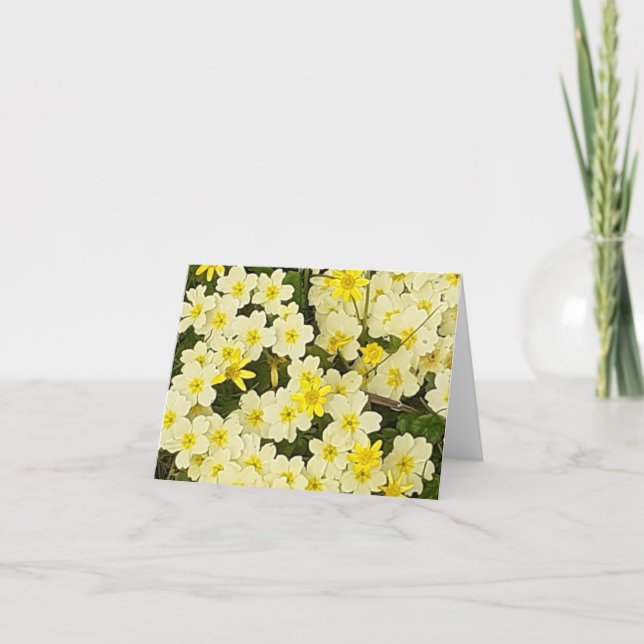 Spring Primroses Greeting Card (Front)