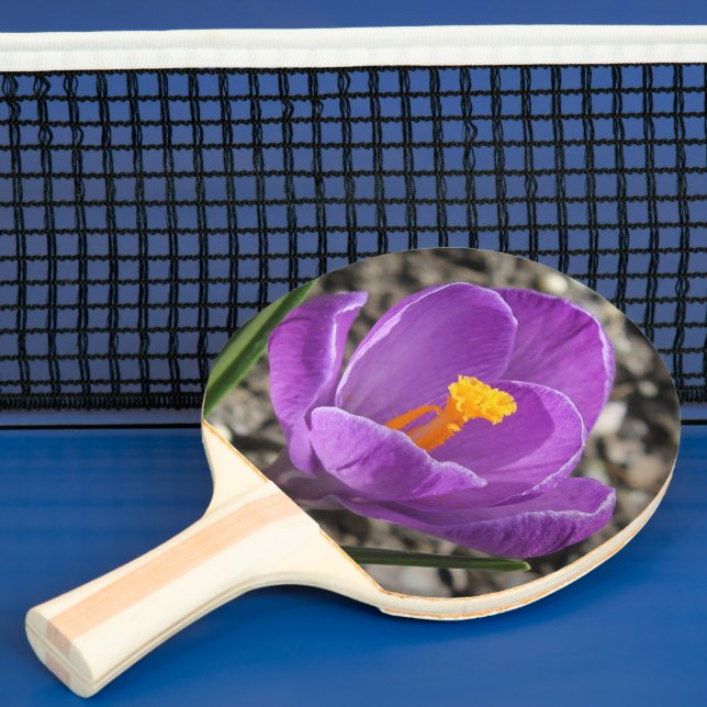 Spring Purple Crocus Flower Photo 2-Sided Printn Ping Pong Paddle (Insitu)