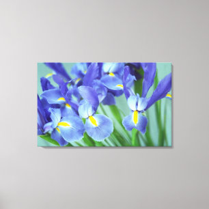Spring Purple Irises Flower Photo Canvas Art Print