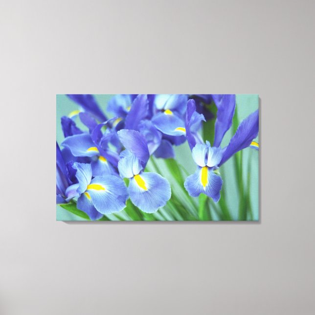 Spring Purple Irises Flower Photo Canvas Art Print (Front)