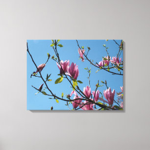 spring purple magnolia flowers in blue sky canvas print