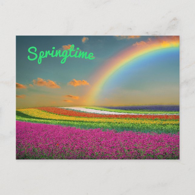 Spring Rainbow Vibrant Colourful Flowers Postcard (Front)
