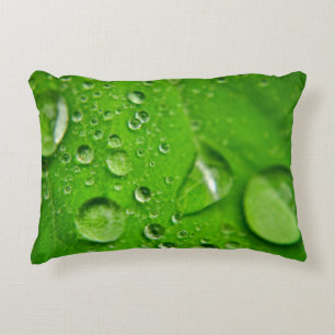 Spring Raindrops Decorative Cushion