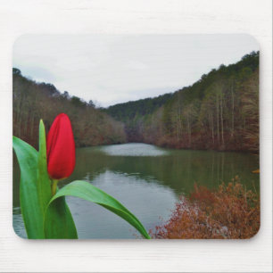 Spring Red Tulip at Lake Arrowhead Mouse Pad