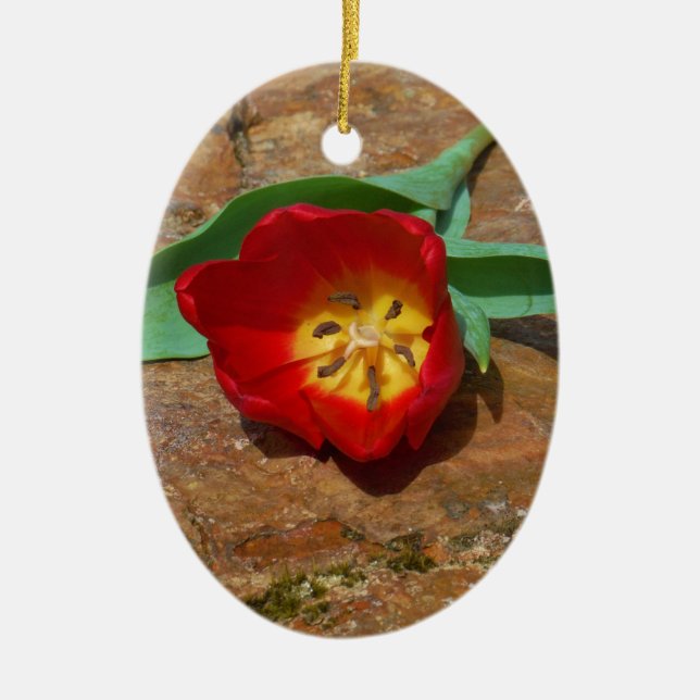 Spring Red Tulip Ceramic Tree Decoration (Front)