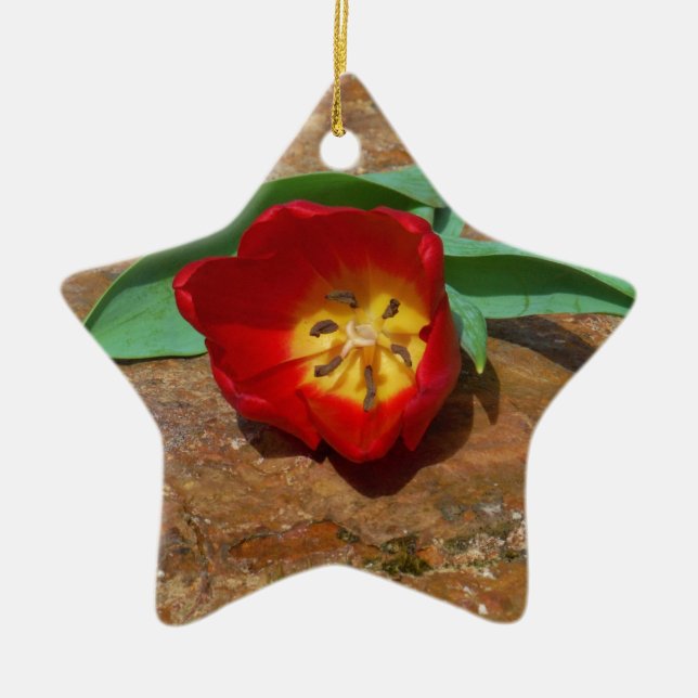Spring Red Tulip Ceramic Tree Decoration (Front)