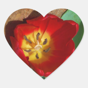 Spring Red Tulip Heart Sticker