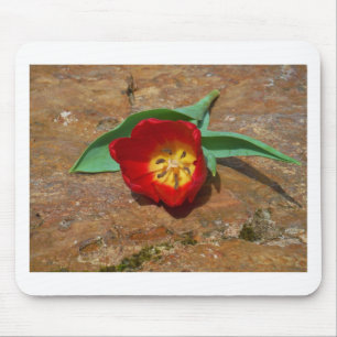 Spring Red Tulip Mouse Pad