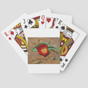 Spring Red Tulip Playing Cards