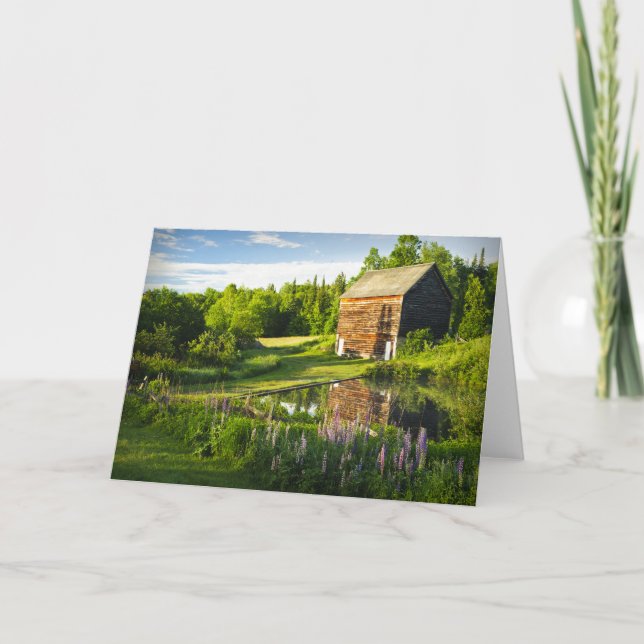 Spring Reflections in the Adirondacks, N.Y. Card (Front)