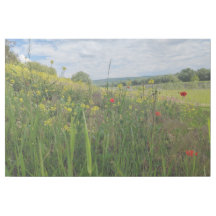 Spring riverside photography