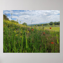 Spring riverside photography