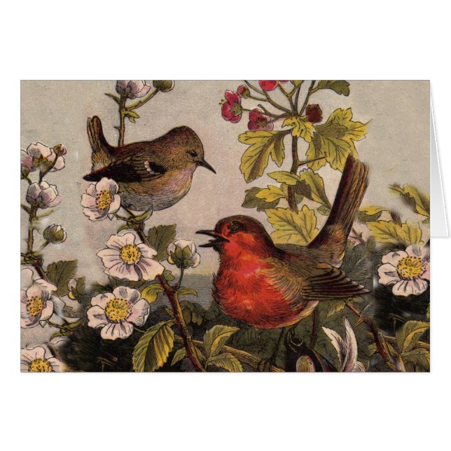 Spring Robin Birds Red Birding (Front Horizontal)