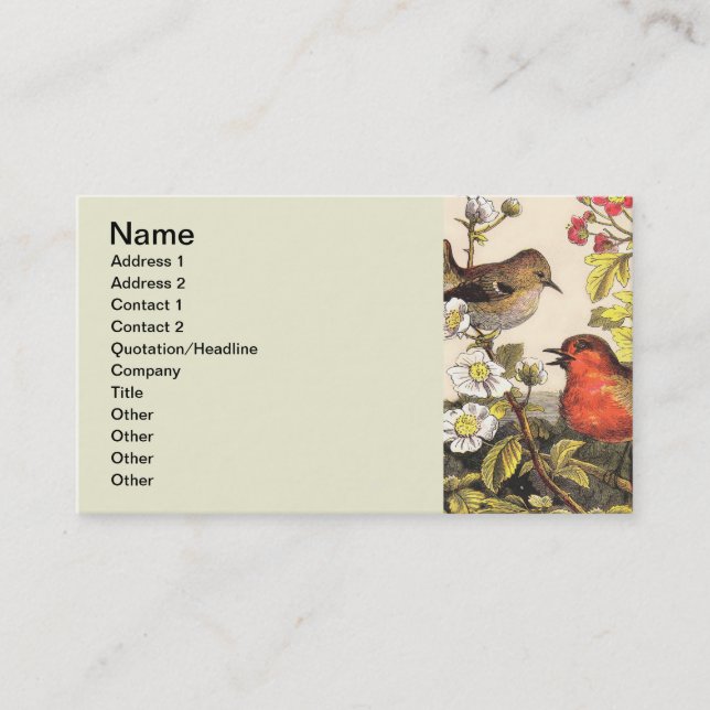 Spring Robin Birds Red Birding Business Card (Front)