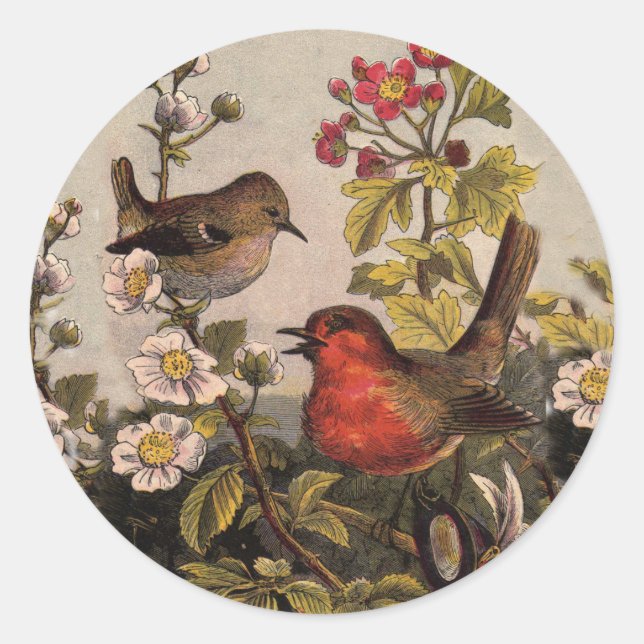 Spring Robin Birds Red Birding Classic Round Sticker (Front)