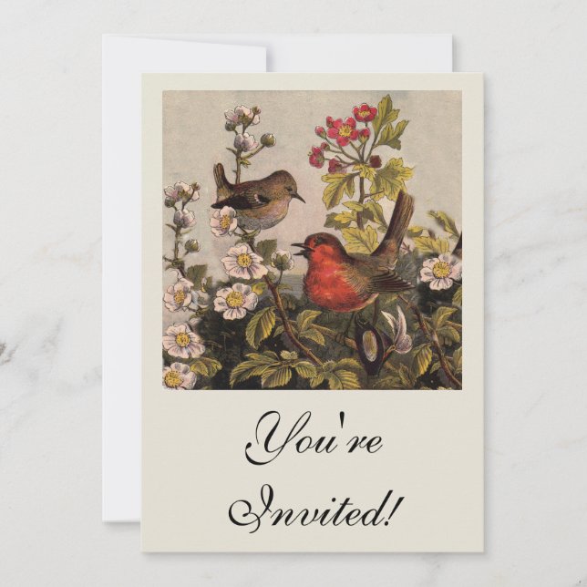 Spring Robin Birds Red Birding Invitation (Front)