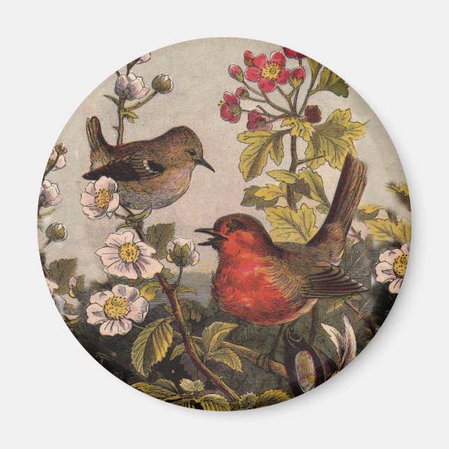 Spring Robin Birds Red Birding Magnet (Front)
