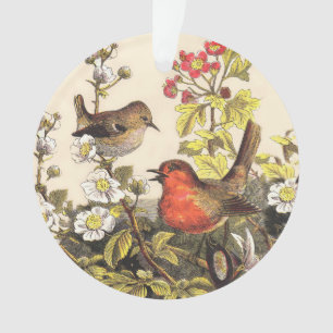 Spring Robin Birds Red Birding Ornament