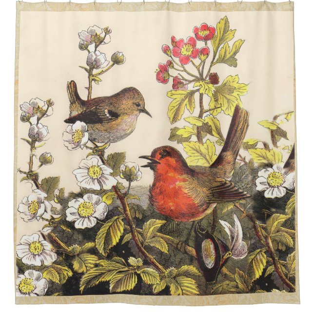Spring Robin Birds Red Birding Shower Curtain (Front)