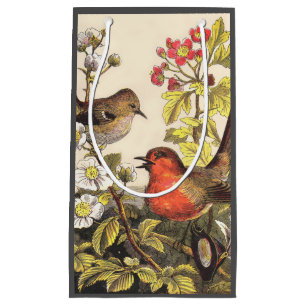 Spring Robin Birds Red Birding Small Gift Bag