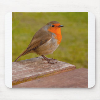 Spring Robin Mouse Pad
