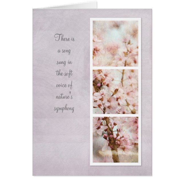 Spring Romance Cherry Blossoms (Front)