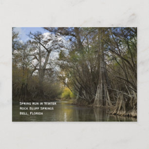 Spring Run in Winter Postcard