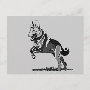 Spring Schäferhund Postcard