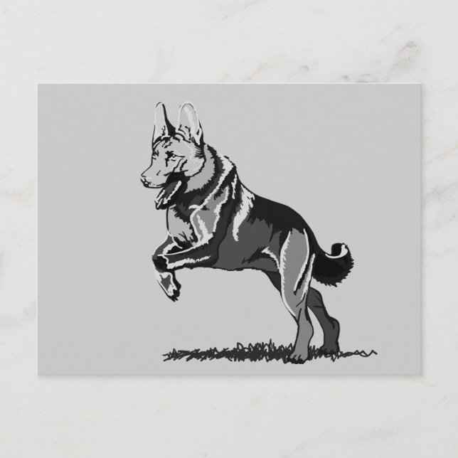 Spring Schäferhund Postcard (Front)